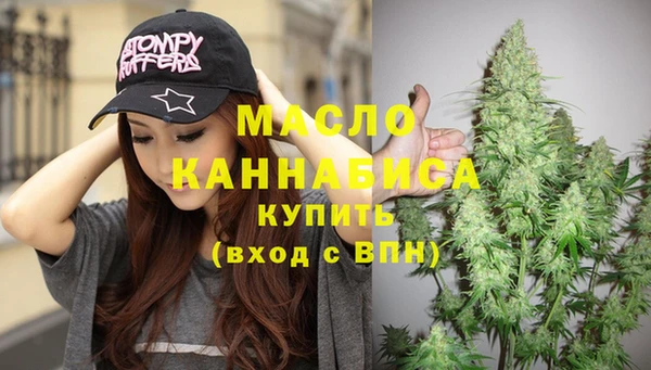спиды Вяземский