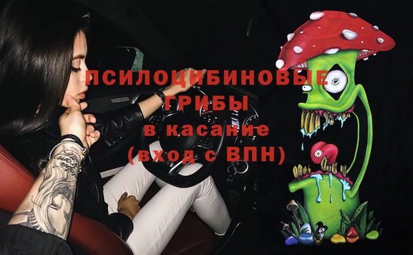 дживик Алексин