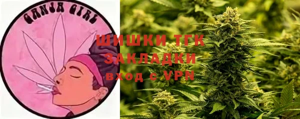 spice Алзамай