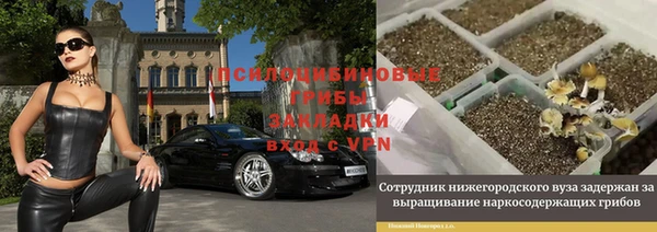 spice Алзамай